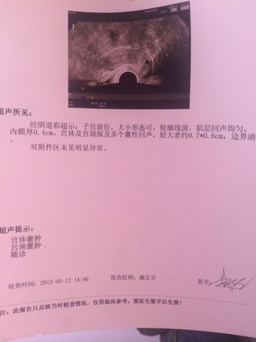journal_insert_pic_230794906