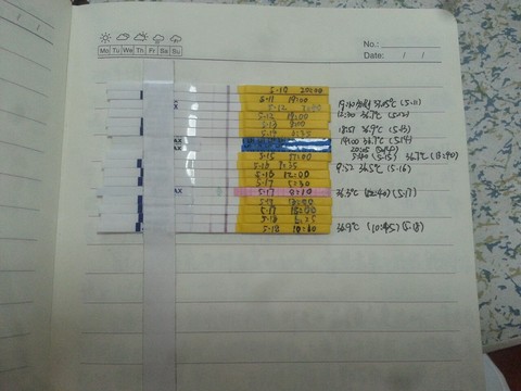journal_insert_pic_231523638