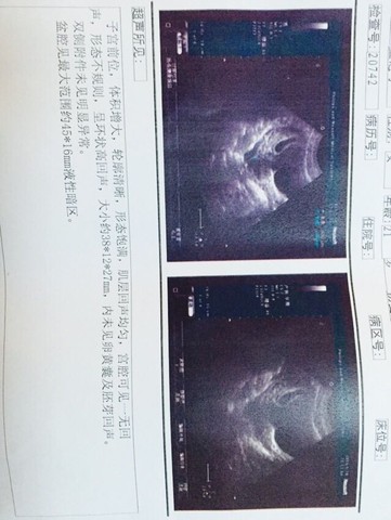 journal_insert_pic_231636349