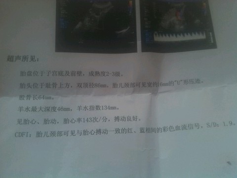 journal_insert_pic_232050984