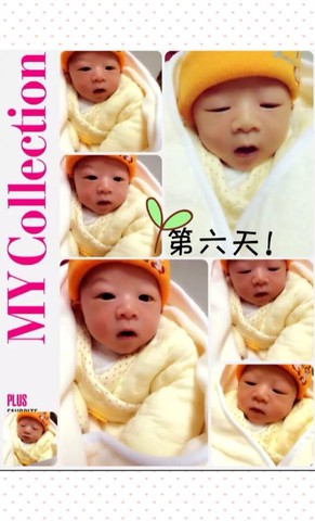 journal_insert_pic_231784239