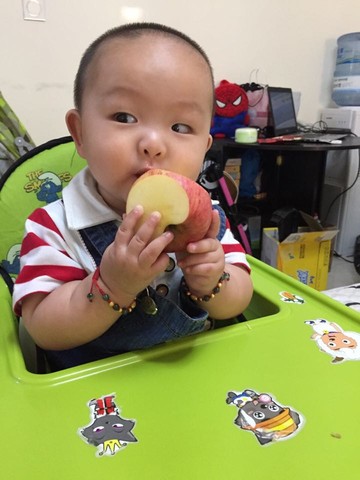 journal_insert_pic_233260266