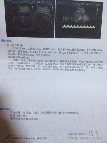 journal_insert_pic_233740160
