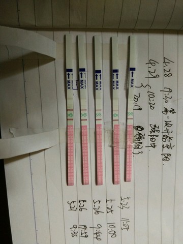 journal_insert_pic_234843488