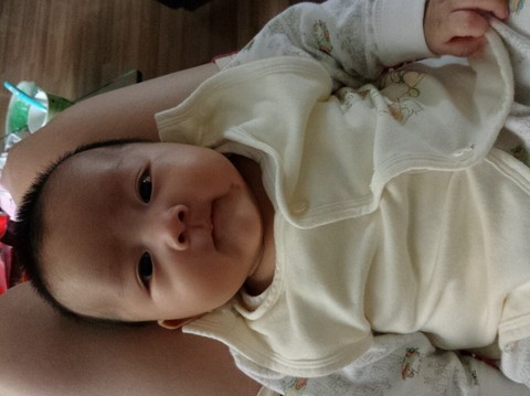 journal_insert_pic_235441290