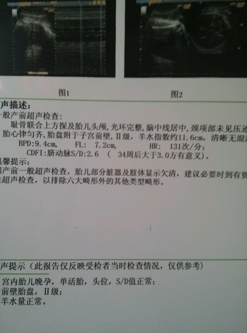 journal_insert_pic_235277841