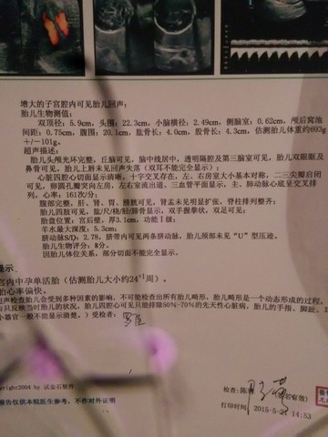 journal_insert_pic_236087042