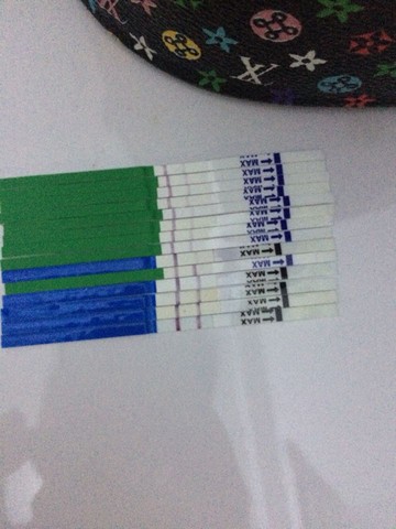 journal_insert_pic_237645582