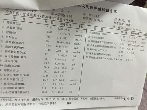 journal_insert_pic_238676419
