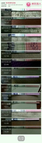 journal_insert_pic_239062119