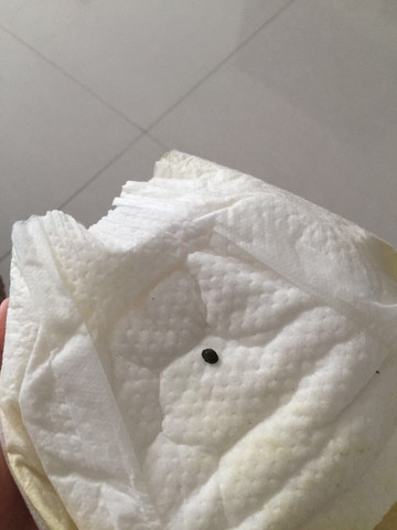 journal_insert_pic_239220653
