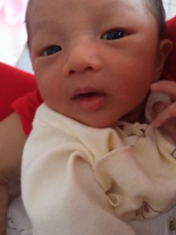 journal_insert_pic_239645411