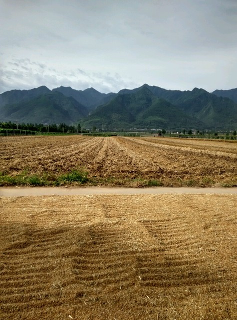 卧槽～农村的了不起啊!个个都在晒!