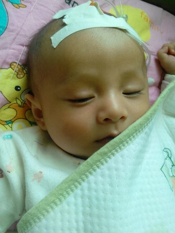 journal_insert_pic_240157379