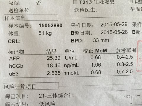journal_insert_pic_242136192
