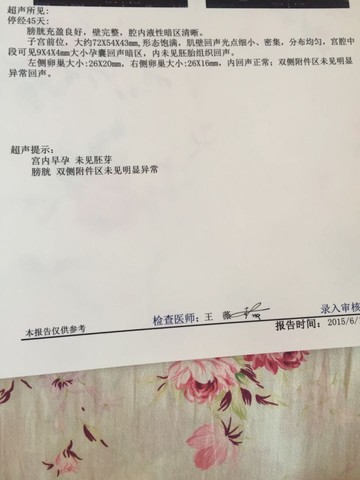 journal_insert_pic_242176178