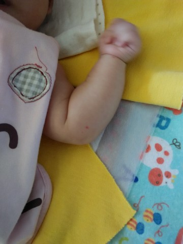 journal_insert_pic_242675481