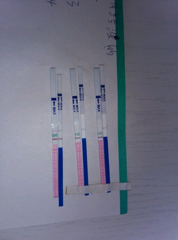 journal_insert_pic_243271522