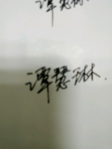 journal_insert_pic_244032911