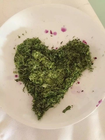 journal_insert_pic_244324033