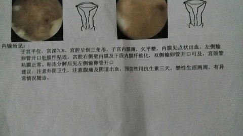 journal_insert_pic_244845832