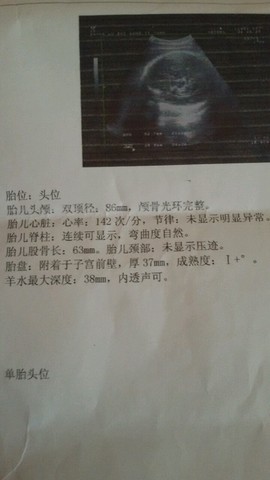 journal_insert_pic_245218744