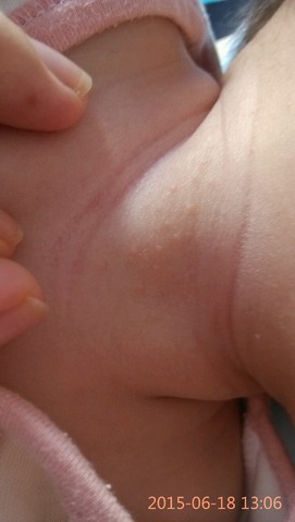 journal_insert_pic_245178054