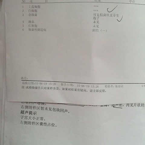 journal_insert_pic_245656994