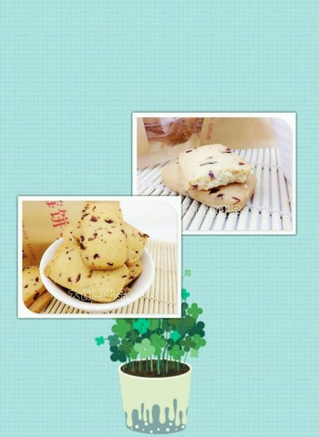 journal_insert_pic_245670694