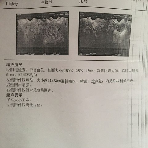 journal_insert_pic_245657005