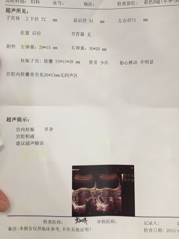 journal_insert_pic_245961168