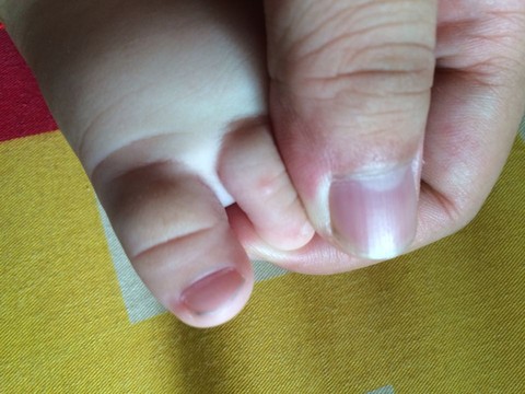 journal_insert_pic_246370012