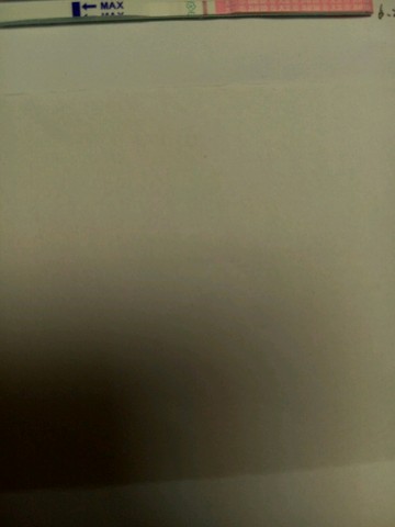 journal_insert_pic_247228650