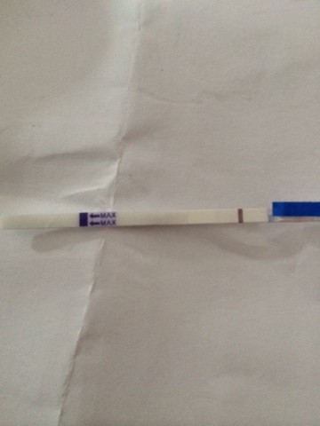 journal_insert_pic_247084373