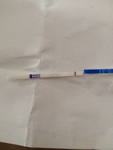 journal_insert_pic_247084390