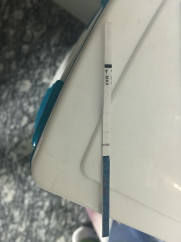 journal_insert_pic_247017893