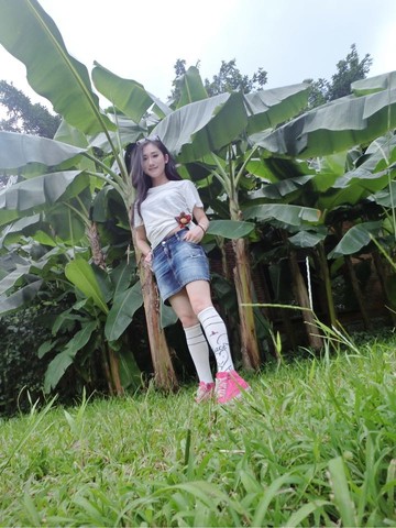 journal_insert_pic_247382355