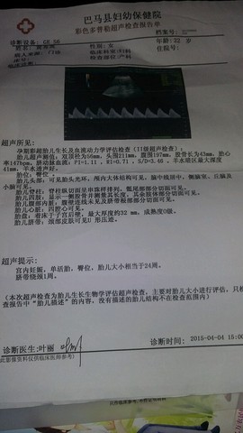 journal_insert_pic_247507867