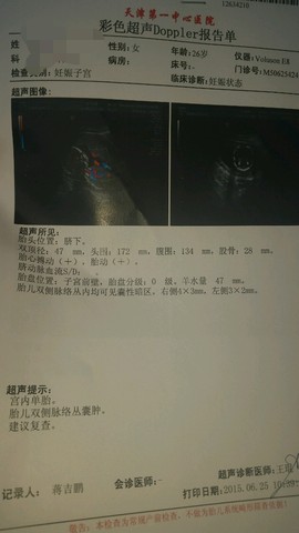 journal_insert_pic_248373874