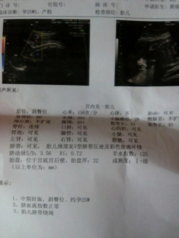 journal_insert_pic_248890393