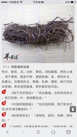 journal_insert_pic_249574507