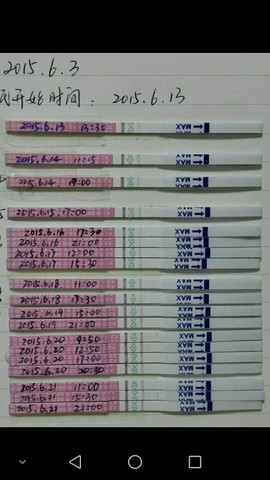journal_insert_pic_250194455