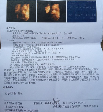 journal_insert_pic_250461292