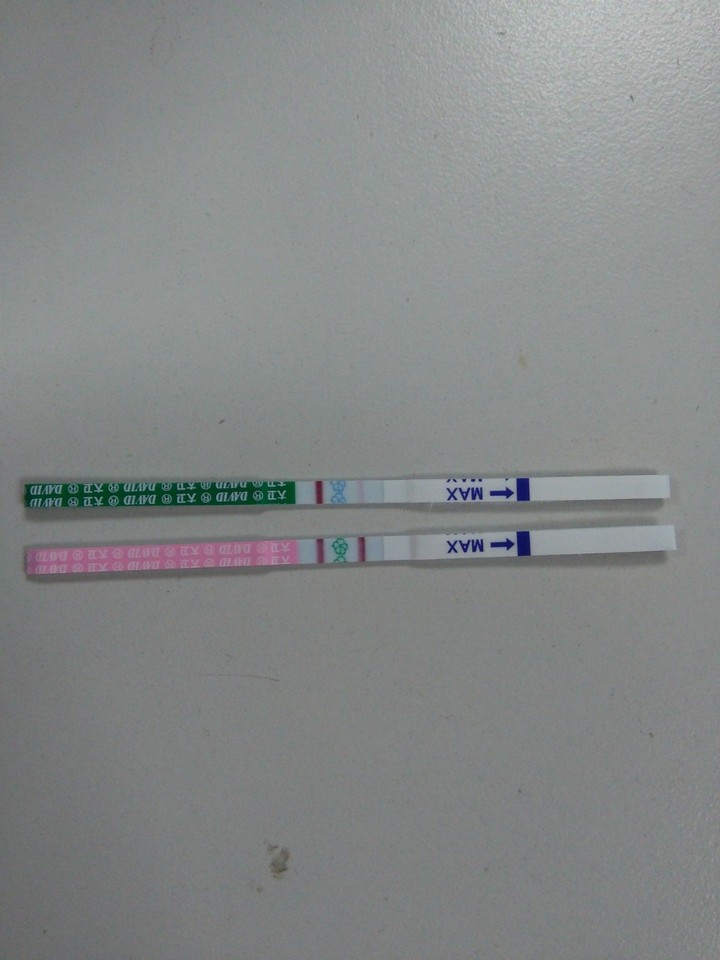 journal_insert_pic_250176293