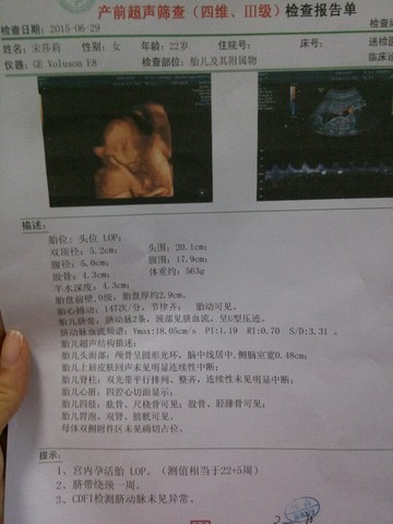 journal_insert_pic_250311251