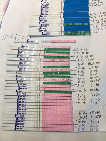 journal_insert_pic_250678730