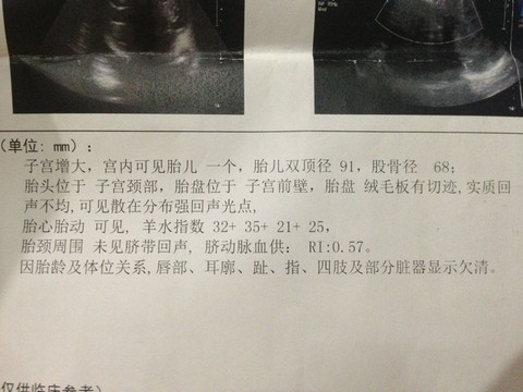 journal_insert_pic_250820202