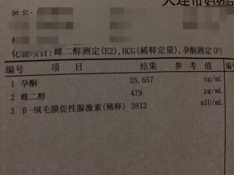 journal_insert_pic_251161227