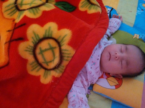 journal_insert_pic_251266915