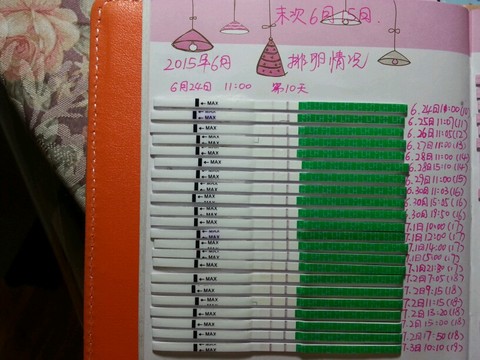 journal_insert_pic_251693395